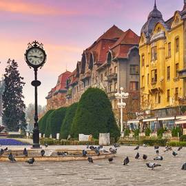 Timisoara